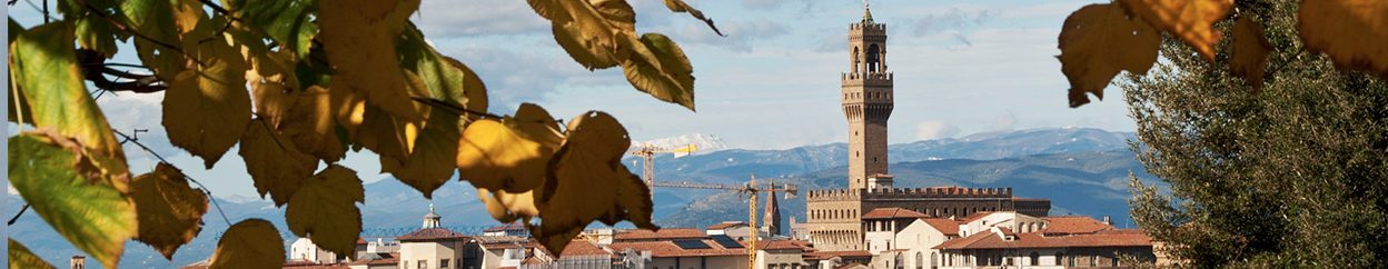 Francesca Sabatini è guida turistica abilitata di Firenze in italiano, inglese e francese. Organizza visite guidate per singoli e gruppi di piccola e grande dimensione.